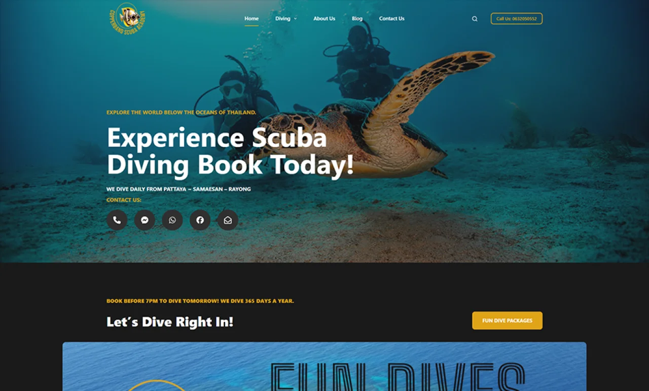 copperbandscuba.com