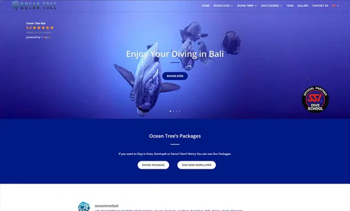 oceantreebali.com