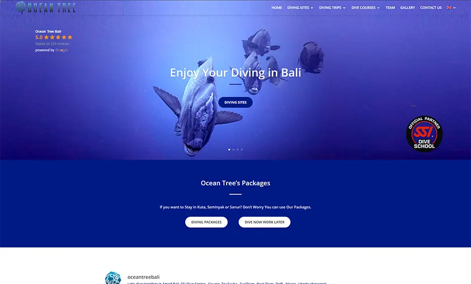 oceantreebali.com